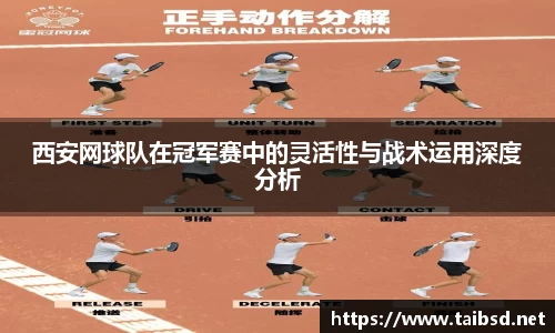 k1体育